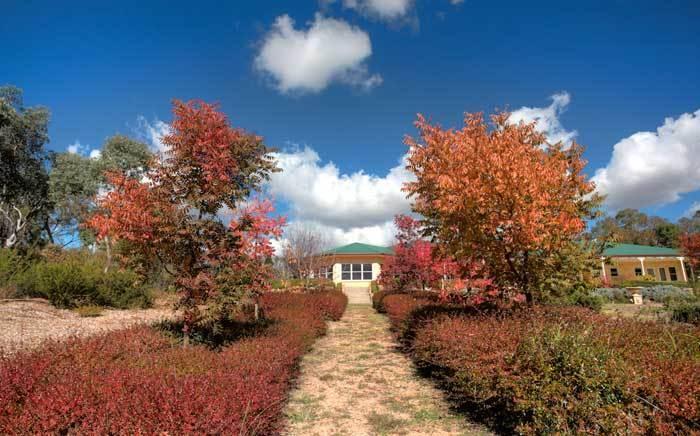 Accommodation Creek Cottages & Sundown View Suites Ballandean Екстер'єр фото